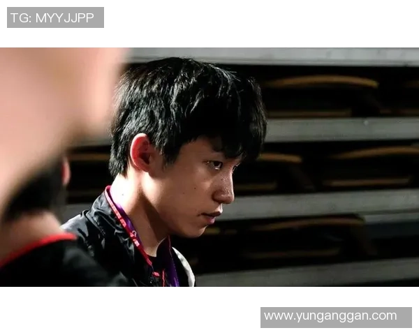 职业联赛特别报道：WE战队从崛起到辉煌的奋斗历程与未来展望