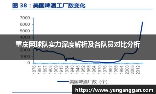 重庆网球队实力深度解析及各队员对比分析
